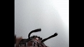 Desk Humping