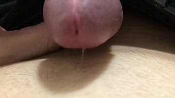 Giv Hanjob At The Animals