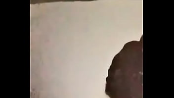 Seachwhip In Ass