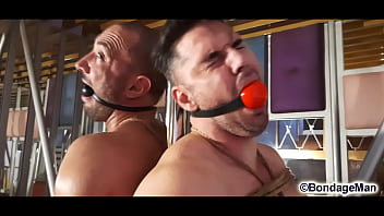 Cum Alon