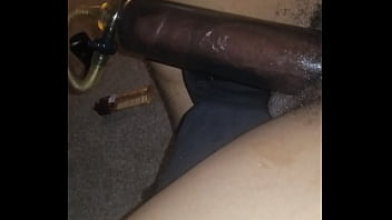 Sex In Hewan
