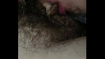 Porno Hollandais