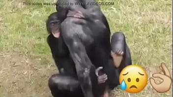 Big Booty Virgo Full Hd Video