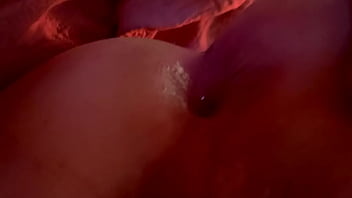 Seal Pec