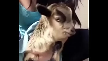 Xxxvcnm