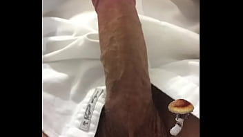 Sfxy Vi