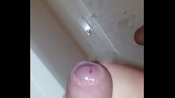 Asian Breena