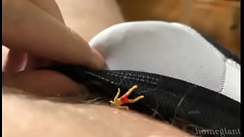 Ladyboy Channel Shemale