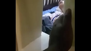 Wwwxxvgo