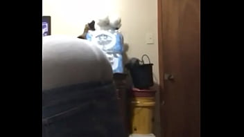 Tera Partcak