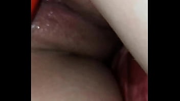 Ass Pegnet