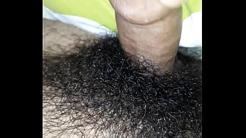 Untuk Fock Small Nephew