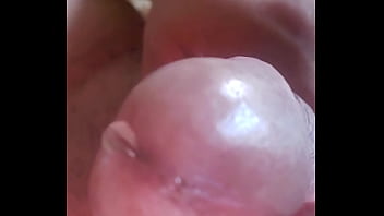 Mallu Sex Vides