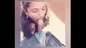 Jav Chechz Harem