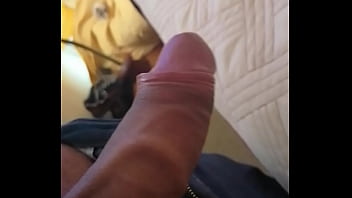 Bokep Sex Pemaksaan