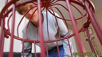 Polnografia Trabesti Grati
