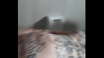 Sex Cat Dog