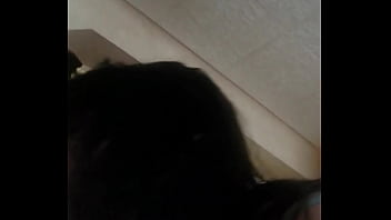 Sex Videofuck Moviehot Sex