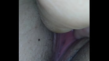 Cana Verde