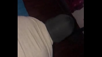 Ocicat Chaturbate