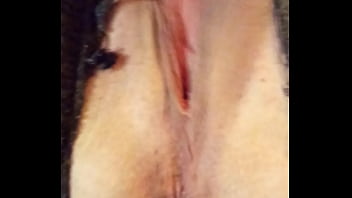 Xxx Anmal Eel Fuk Girl Com