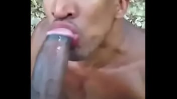 Thai Dig Cock