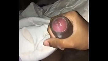 Pala Vedeo Xx