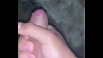 Animal Pornos