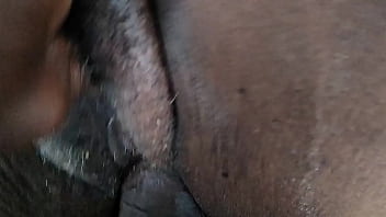 Xxx Stines