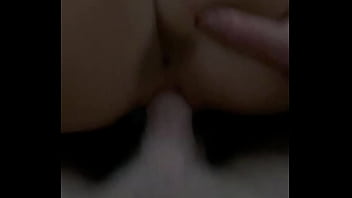 Animalr Pussy