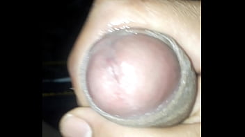 Download Bf Turki