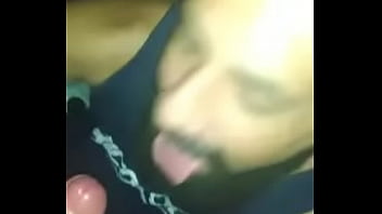 Taylor Swallows
