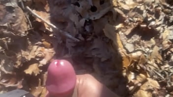 Nigerian Porno On African Magic