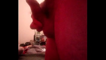 Urso Dotado