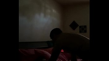 Petlust 2017