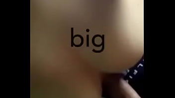 Hog Toys