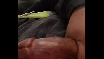 Xxx Videos Rape
