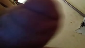 Artis Jav Sek