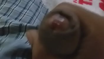 Pakstain Pron