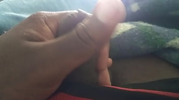 Arab Bobs 2017 New