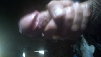 Shemale Porne Party