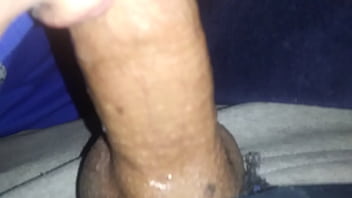 Sunny Sleep Video
