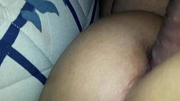 Aliana Fox Solo