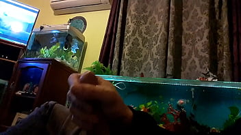 Xxx Bf Video Open To