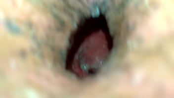 Xnxx Licking