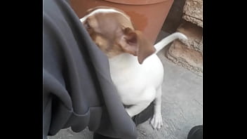 Hungry For Pussy