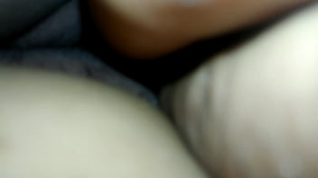 Shamela Ass Fakin