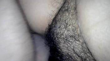 Farm Zoo Sex
