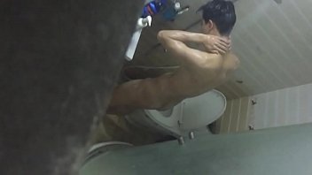 3d Tit