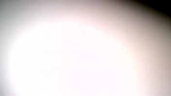 Eva Notty Pov Ho